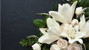 Stephanie Smith, Obituary Cause of death - BC General Employees' Union Member Has Died